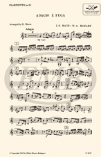 Z 3672_2.jpg